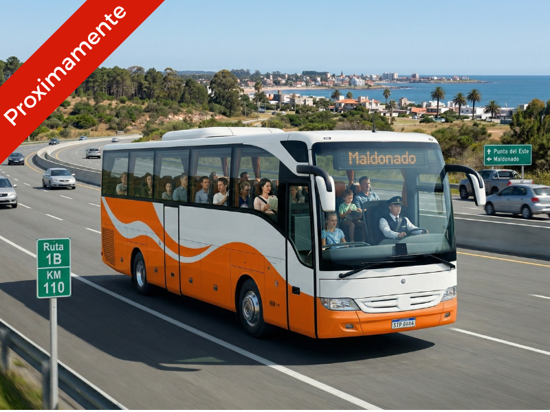Transporte Profesional de Pasajeros